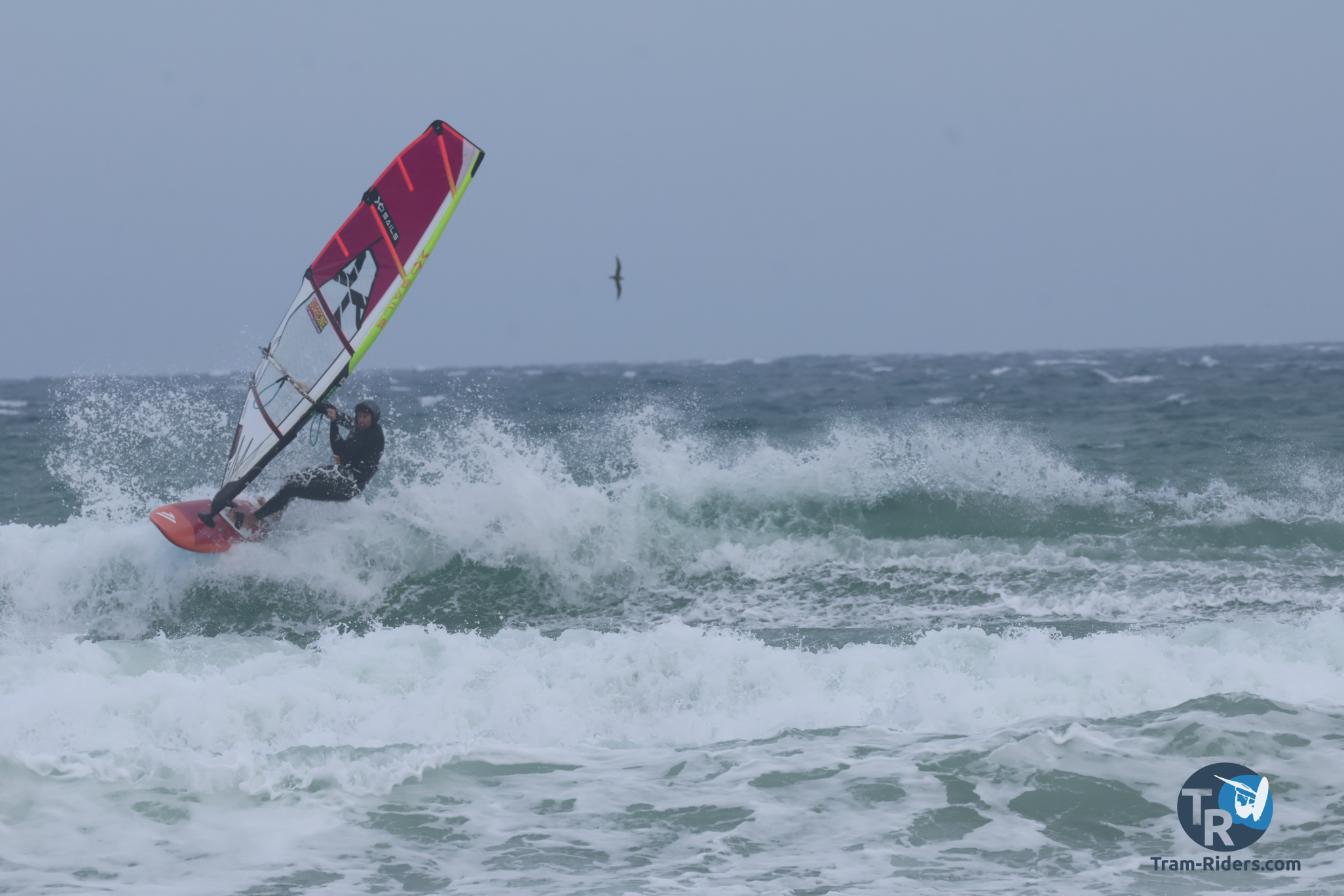 20250411-pont-des-basses-081.jpg 20250411-pont-des-basses-081.jpg