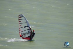 20230909-Ganguise-wing-141.jpg