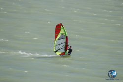 20230909-Ganguise-wing-143.jpg