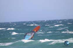 20230915-Pont-des-basses-061.jpg