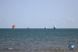 20230923-Franqui-013.jpg