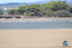 20230923-Franqui-156.jpg