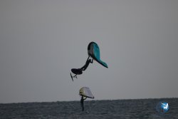 20231015-Franqui-wing-012.jpg