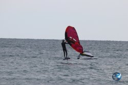 20231015-Franqui-wing-020.jpg