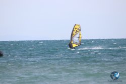20231015-Franqui-wing-125.jpg
