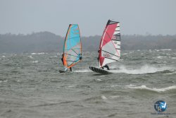 20231102-bardets-et-arbousiers-003.jpg