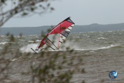 20231102-bardets-et-arbousiers-004.jpg