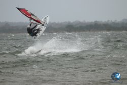 20231102-bardets-et-arbousiers-006.jpg