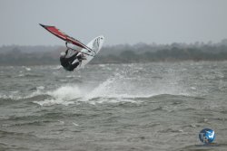 20231102-bardets-et-arbousiers-007.jpg