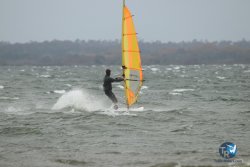 20231102-bardets-et-arbousiers-011.jpg