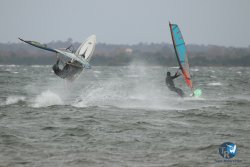 20231102-bardets-et-arbousiers-012.jpg