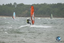 20231102-bardets-et-arbousiers-013.jpg