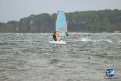 20231102-bardets-et-arbousiers-014.jpg
