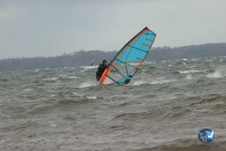20231102-bardets-et-arbousiers-016.jpg