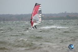 20231102-bardets-et-arbousiers-018.jpg