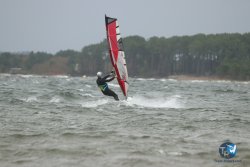 20231102-bardets-et-arbousiers-019.jpg