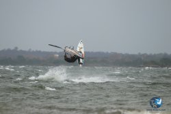 20231102-bardets-et-arbousiers-020.jpg