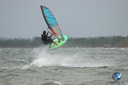 20231102-bardets-et-arbousiers-022.jpg