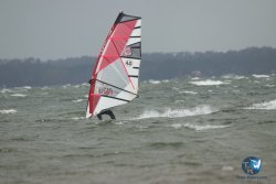 20231102-bardets-et-arbousiers-024.jpg