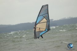20231102-bardets-et-arbousiers-026.jpg