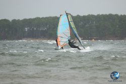 20231102-bardets-et-arbousiers-027.jpg
