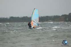 20231102-bardets-et-arbousiers-028.jpg