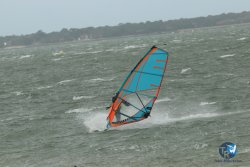 20231102-bardets-et-arbousiers-032.jpg