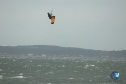 20231102-bardets-et-arbousiers-035.jpg