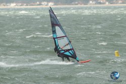 20231102-bardets-et-arbousiers-038.jpg