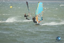20231102-bardets-et-arbousiers-039.jpg