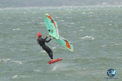 20231102-bardets-et-arbousiers-041.jpg