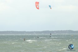 20231102-bardets-et-arbousiers-042.jpg