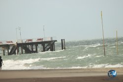 20231102-bardets-et-arbousiers-043.jpg