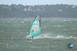 20231102-bardets-et-arbousiers-046.jpg