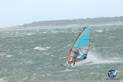 20231102-bardets-et-arbousiers-051.jpg