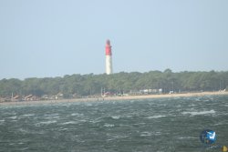 20231102-bardets-et-arbousiers-052.jpg