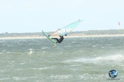 20231102-bardets-et-arbousiers-055.jpg