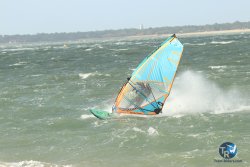 20231102-bardets-et-arbousiers-060.jpg