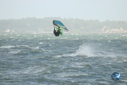 20231102-bardets-et-arbousiers-063.jpg