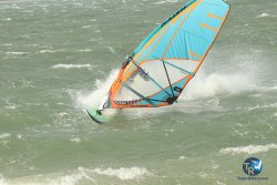 20231102-bardets-et-arbousiers-070.jpg