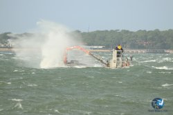 20231102-bardets-et-arbousiers-071.jpg