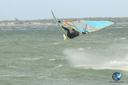 20231102-bardets-et-arbousiers-073.jpg