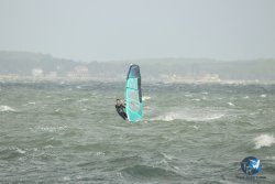 20231102-bardets-et-arbousiers-082.jpg