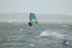 20231102-bardets-et-arbousiers-090.jpg