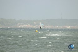 20231102-bardets-et-arbousiers-093.jpg