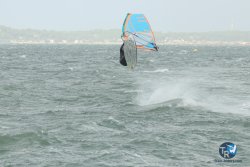 20231102-bardets-et-arbousiers-095.jpg