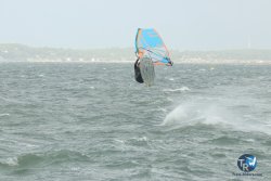 20231102-bardets-et-arbousiers-096.jpg