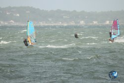 20231102-bardets-et-arbousiers-100.jpg