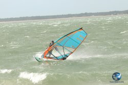 20231102-bardets-et-arbousiers-101.jpg