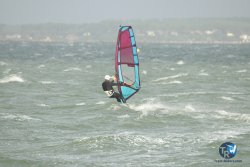 20231102-bardets-et-arbousiers-103.jpg